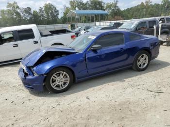  Salvage Ford Mustang