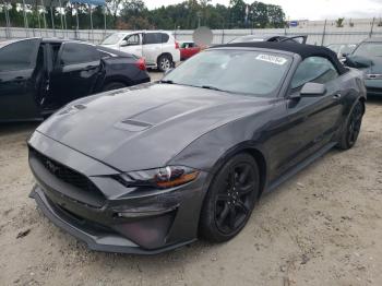  Salvage Ford Mustang