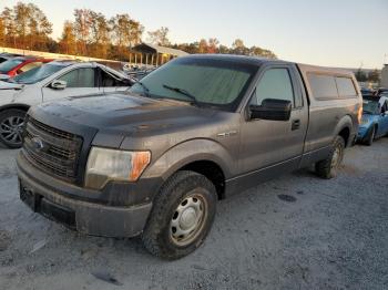  Salvage Ford F-150