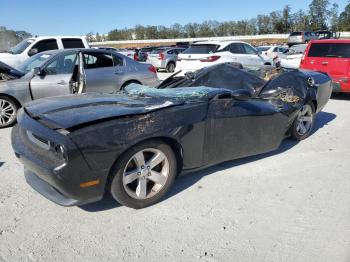  Salvage Dodge Challenger