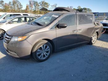  Salvage Honda Odyssey