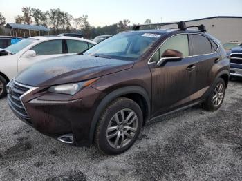  Salvage Lexus NX