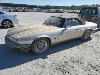  Salvage Jaguar Xjs