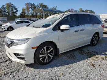  Salvage Honda Odyssey