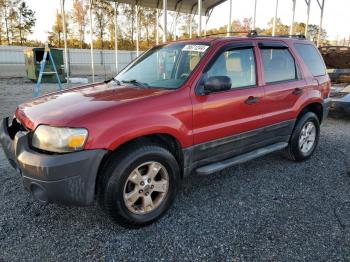  Salvage Ford Escape