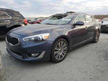  Salvage Kia Cadenza