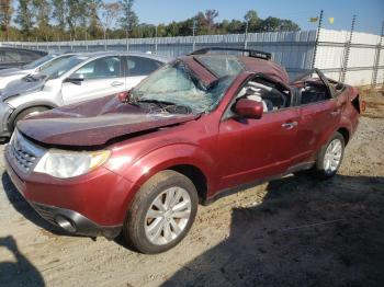  Salvage Subaru Forester