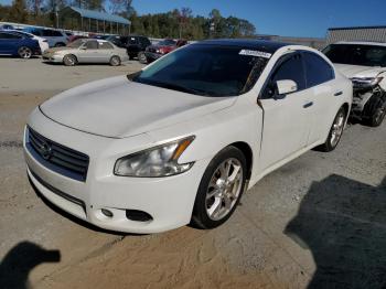  Salvage Nissan Maxima