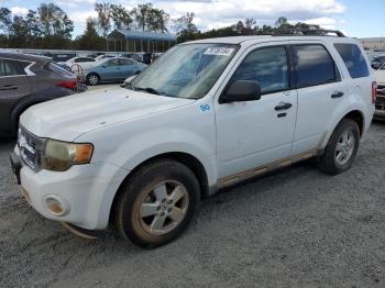  Salvage Ford Escape