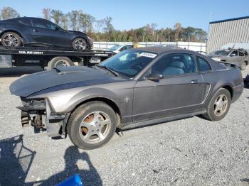  Salvage Ford Mustang