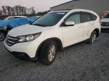  Salvage Honda Crv