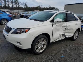  Salvage Lexus RX