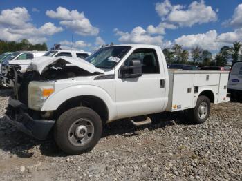  Salvage Ford F-250