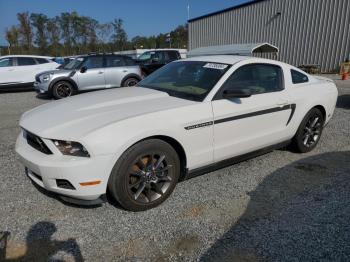  Salvage Ford Mustang