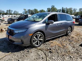  Salvage Honda Odyssey