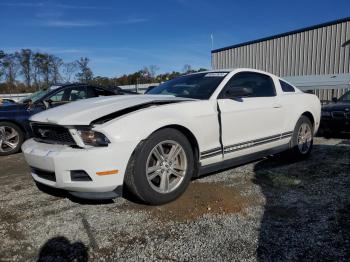  Salvage Ford Mustang