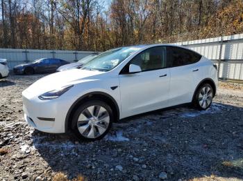  Salvage Tesla Model Y