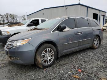  Salvage Honda Odyssey