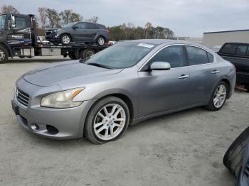  Salvage Nissan Maxima