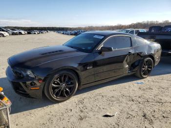  Salvage Ford Mustang