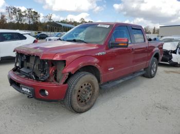  Salvage Ford F-150