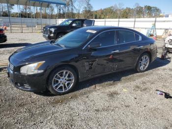  Salvage Nissan Maxima