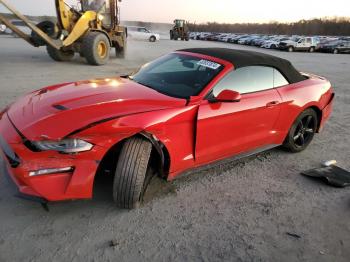  Salvage Ford Mustang