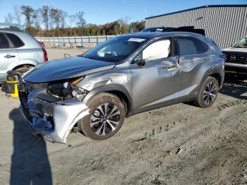  Salvage Lexus NX