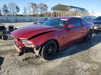  Salvage Ford Mustang