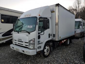  Salvage Isuzu Nqr