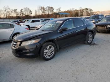  Salvage Honda Crosstour