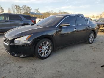  Salvage Nissan Maxima