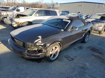  Salvage Ford Mustang