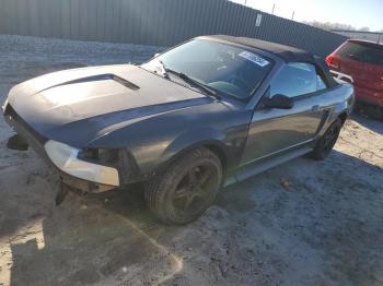  Salvage Ford Mustang