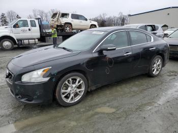  Salvage Nissan Maxima