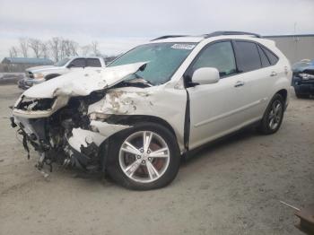  Salvage Lexus RX