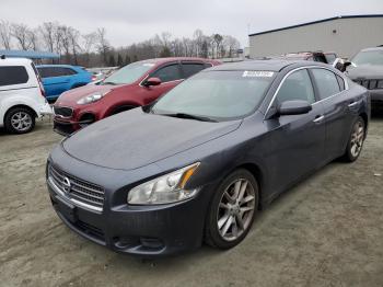  Salvage Nissan Maxima