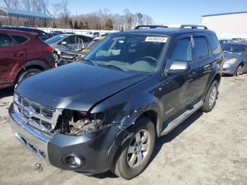  Salvage Ford Escape