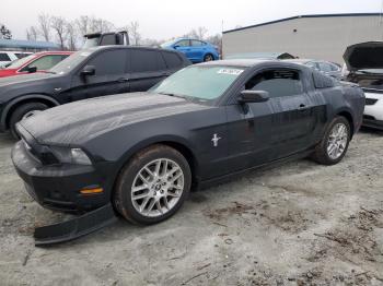  Salvage Ford Mustang