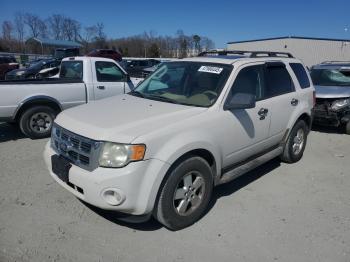  Salvage Ford Escape