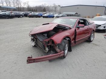  Salvage Ford Mustang