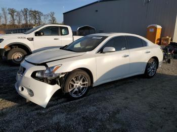  Salvage Nissan Maxima
