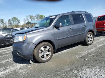  Salvage Honda Pilot
