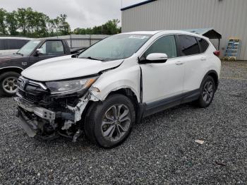 Salvage Honda Crv
