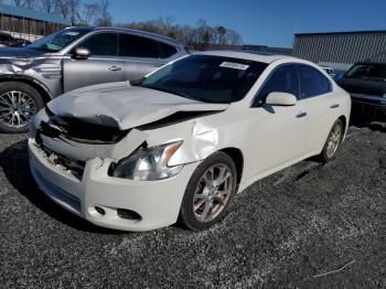  Salvage Nissan Maxima