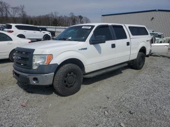  Salvage Ford F-150