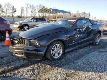  Salvage Ford Mustang