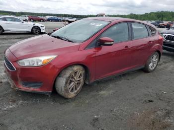  Salvage Ford Focus