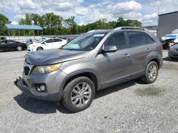  Salvage Kia Sorento