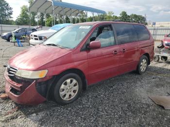  Salvage Honda Odyssey